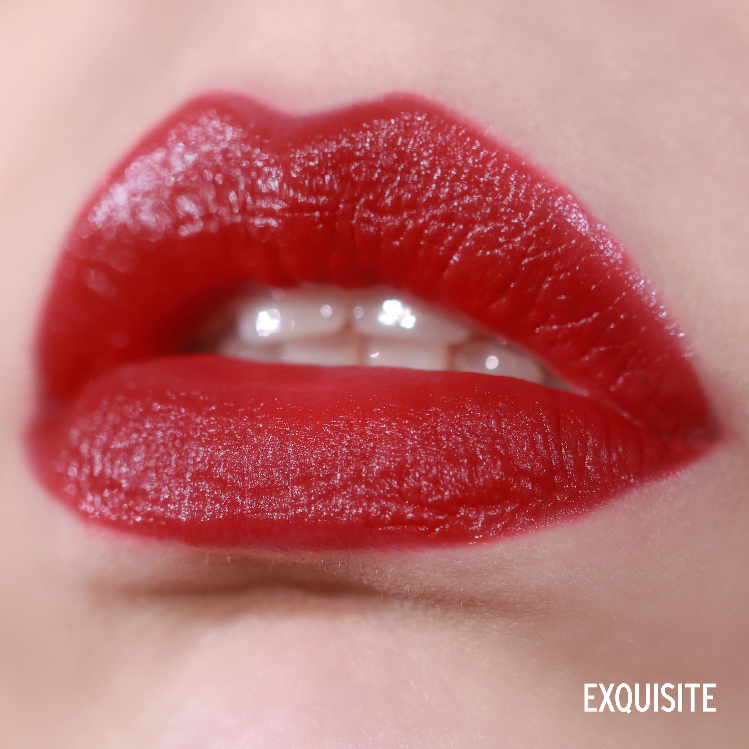 Exquisite Liquid Lipstick