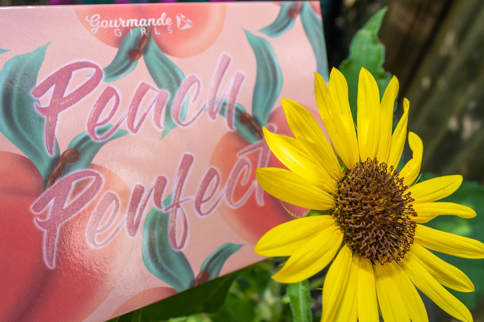 Peach Perfect Palette