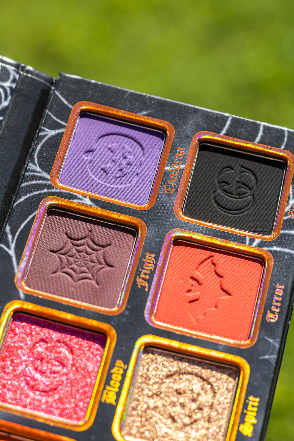 Spooked Palette