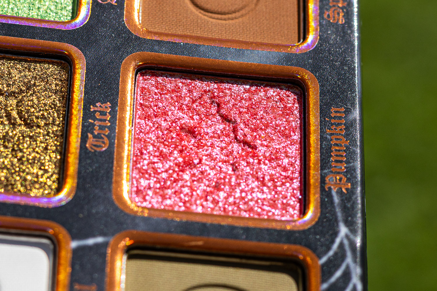 Spooked Palette