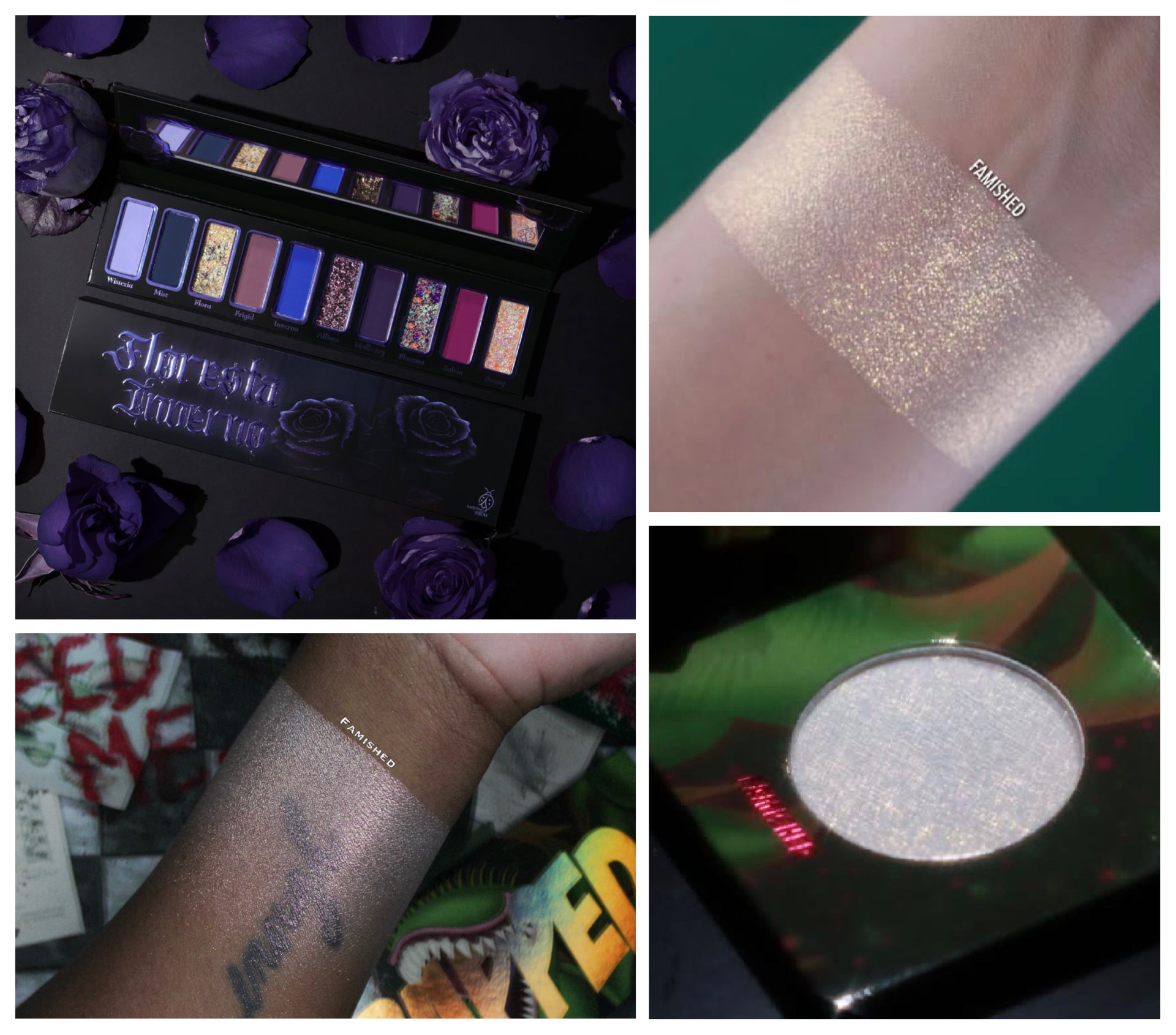 Ladybug Glow Floresta Inverno palette & Famished Highlighter